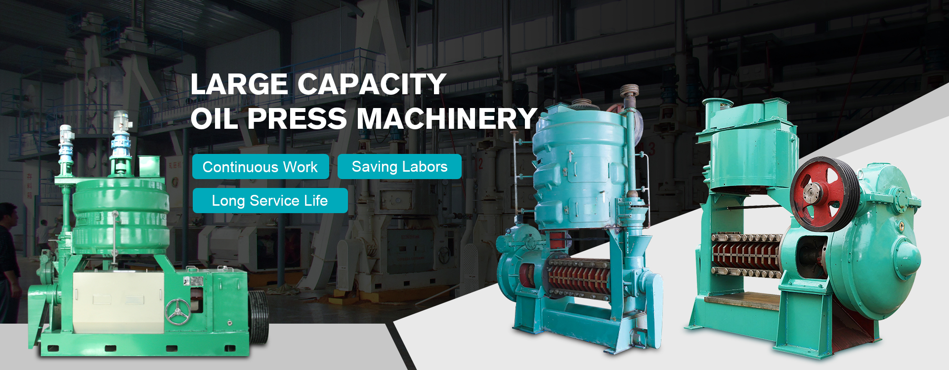 oil filter vertical factory