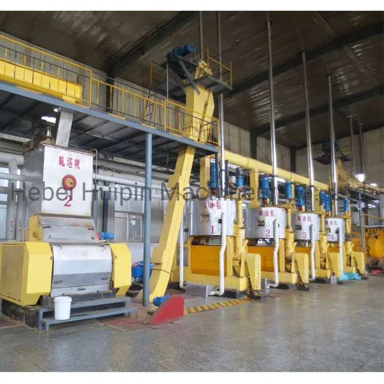 famous oil extractor machine cold press