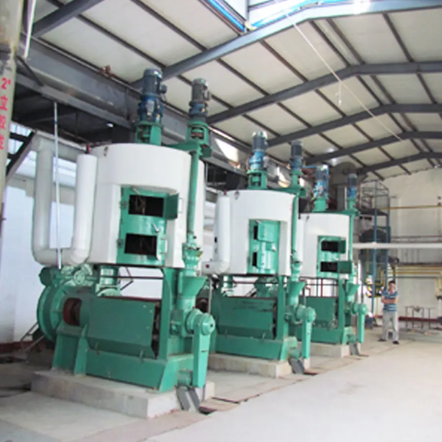 china cold press seed oil machine