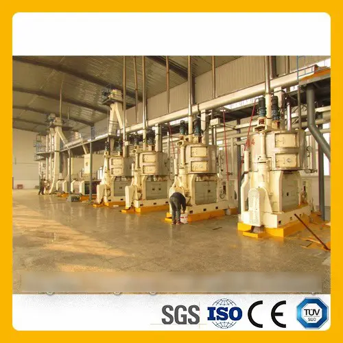 famous groundnut oil press machine