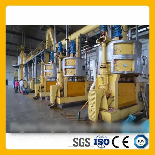 black seed oil expeller product