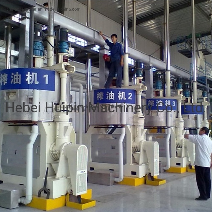famous cold press oil extraction machine