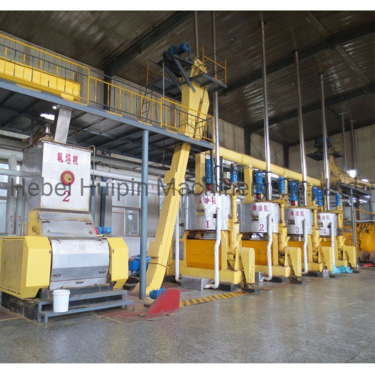odm rapeseed oil refined machine