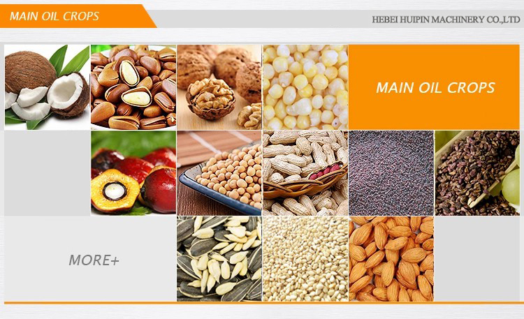 odm peanut oil press machine