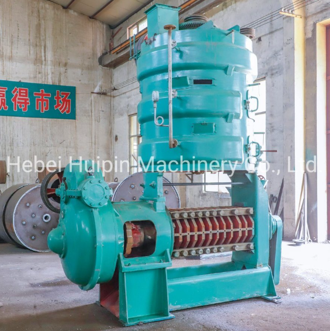 screw worms of oil expeller companies