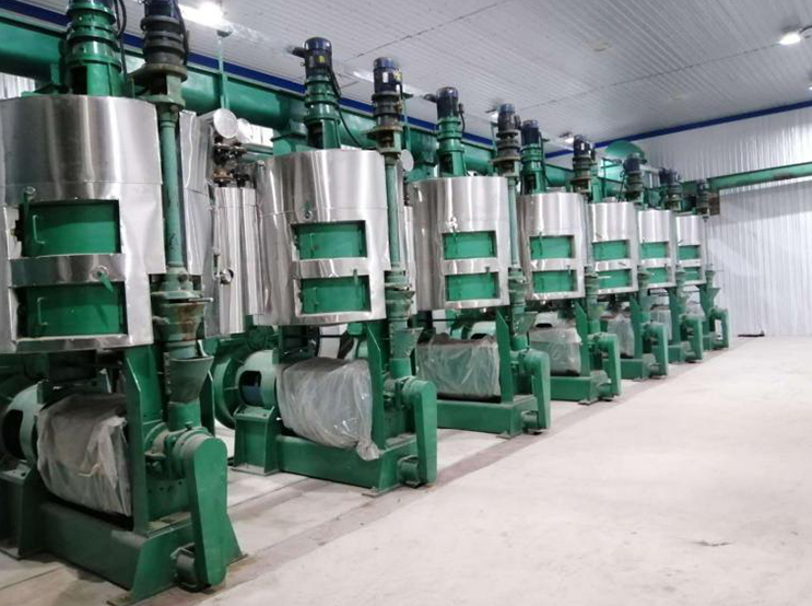 screw worms of oil press machine manufacturer