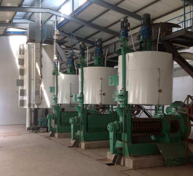 wholesale safflower oil plant machine