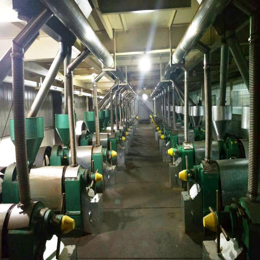 famous large capacity oil press
