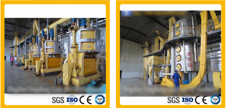 soybean oil expeller exporters